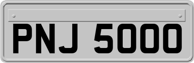 PNJ5000