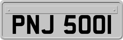 PNJ5001