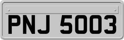 PNJ5003