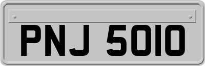 PNJ5010