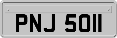 PNJ5011