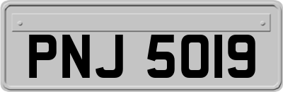 PNJ5019