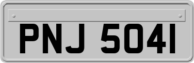 PNJ5041