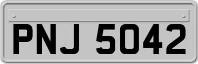PNJ5042
