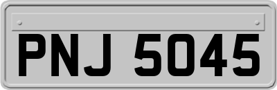 PNJ5045