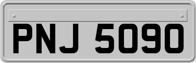 PNJ5090