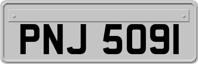 PNJ5091