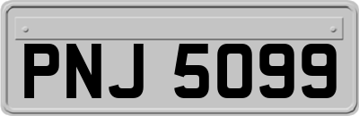 PNJ5099