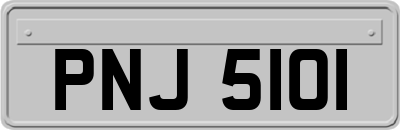 PNJ5101