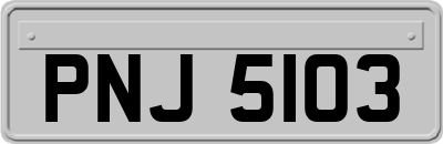 PNJ5103