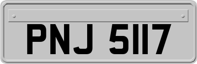 PNJ5117