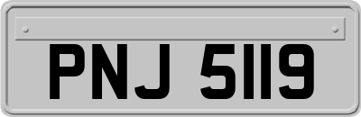 PNJ5119