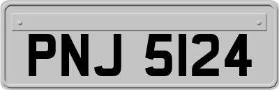 PNJ5124
