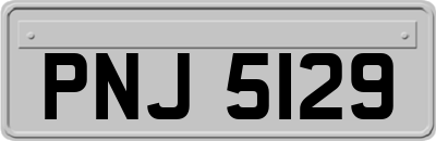 PNJ5129