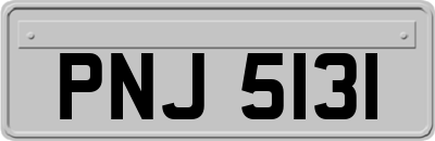 PNJ5131