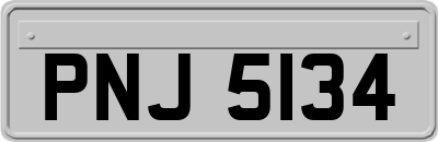 PNJ5134
