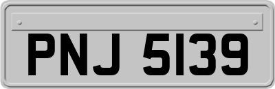 PNJ5139