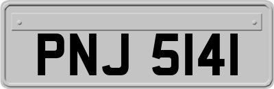 PNJ5141