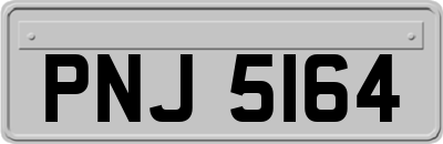 PNJ5164