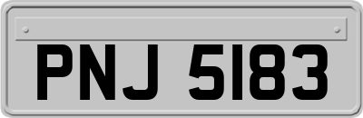 PNJ5183