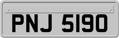 PNJ5190