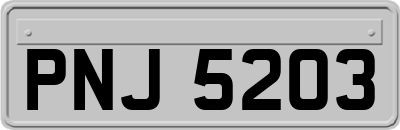 PNJ5203