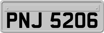 PNJ5206