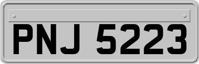 PNJ5223