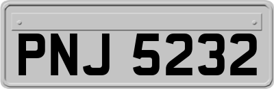 PNJ5232