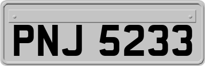 PNJ5233