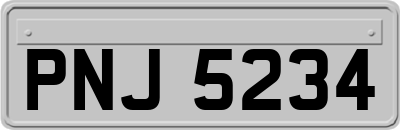 PNJ5234
