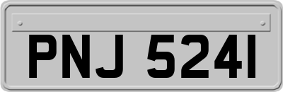 PNJ5241