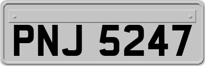 PNJ5247