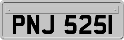 PNJ5251