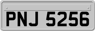 PNJ5256
