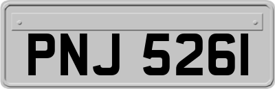 PNJ5261