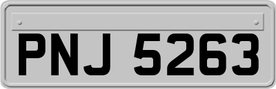 PNJ5263