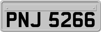 PNJ5266