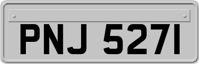 PNJ5271