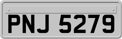 PNJ5279