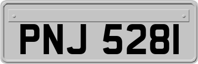 PNJ5281