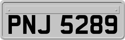 PNJ5289