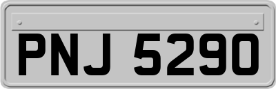 PNJ5290