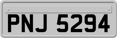 PNJ5294