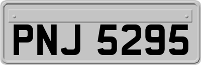 PNJ5295