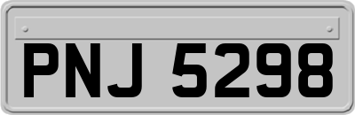 PNJ5298