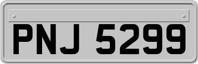 PNJ5299