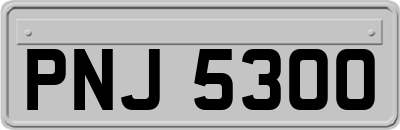 PNJ5300