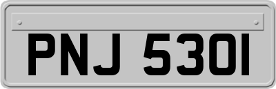 PNJ5301