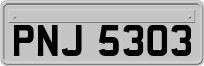 PNJ5303